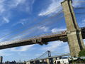 Brandongoeszoom-Brooklynbridge.jpg