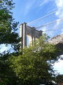 Brandongoeszoom-Brooklynbridge2.jpg